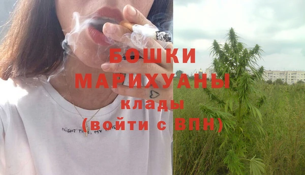 стаф Сосновоборск