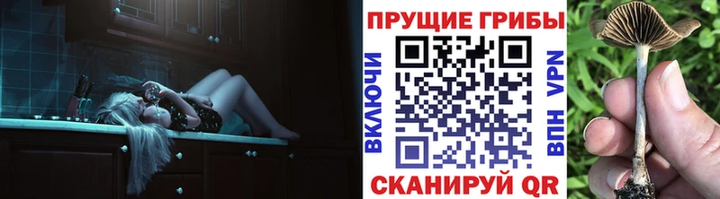 Галлюциногенные грибы Cubensis  Верея 